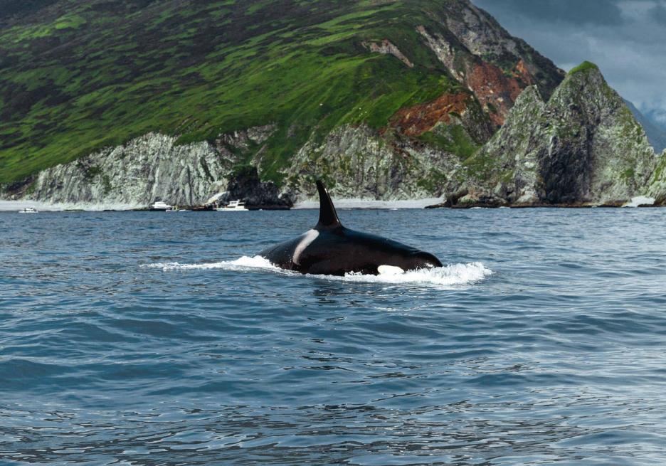 фото img_698d9a5d90635.jpg