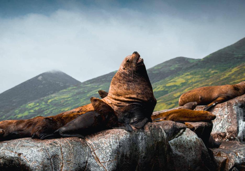 фото img_698d9a5f0b230.jpg