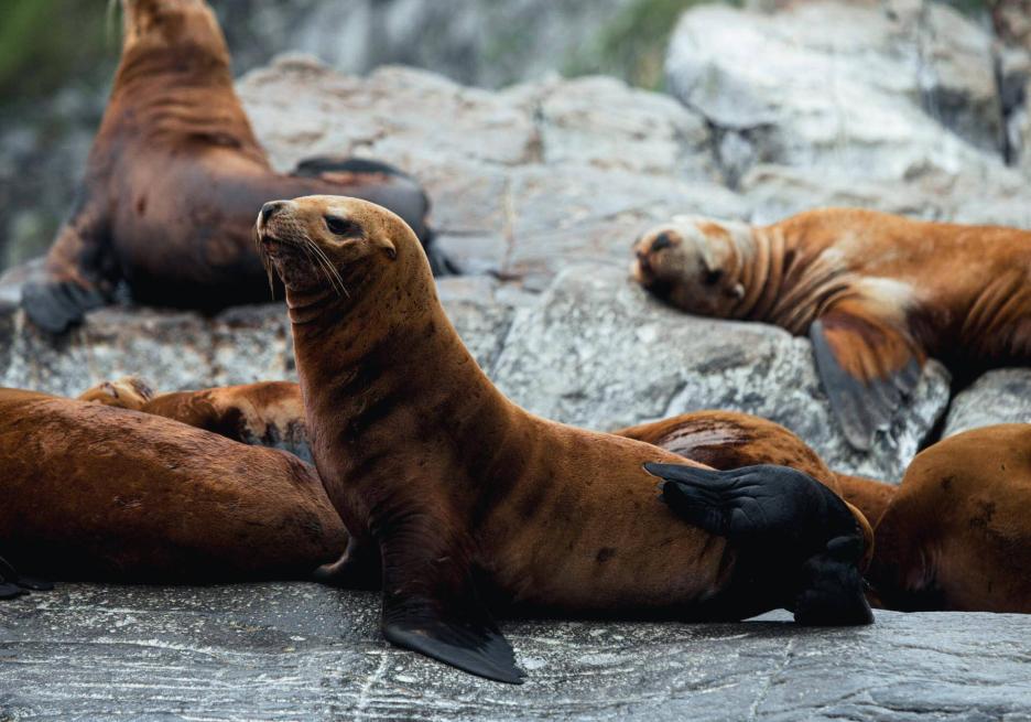 фото img_698d9a634bcab.jpg