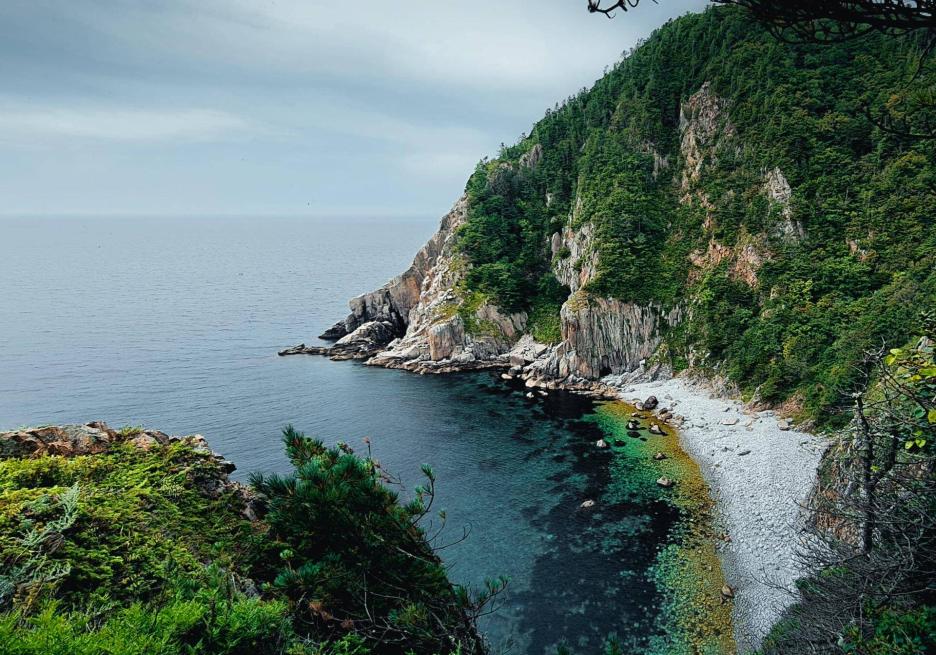 фото img_698d9a660a950.jpg