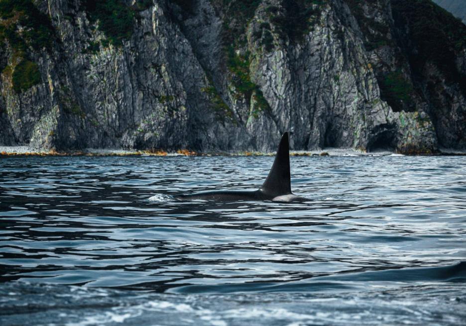 фото img_698d9a68ea938.jpg