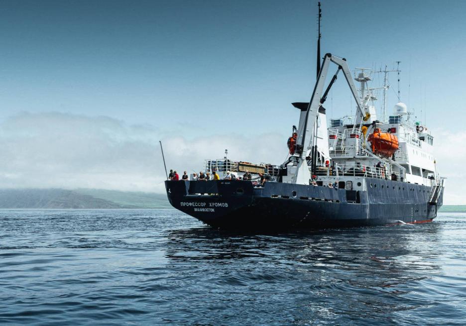 фото img_698d9b87f05ec.jpg