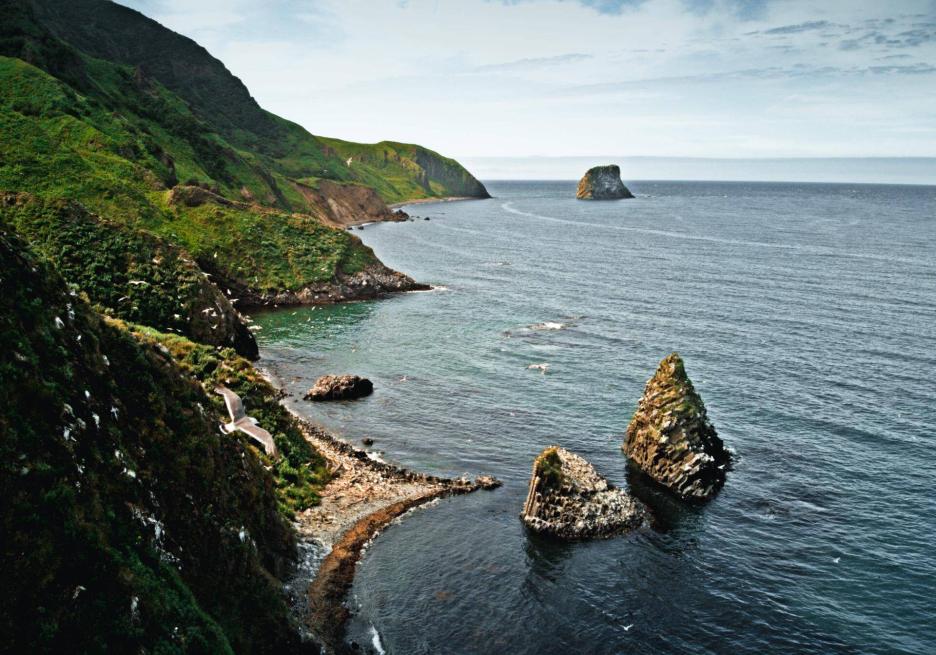 фото img_698d9b896af63.jpg