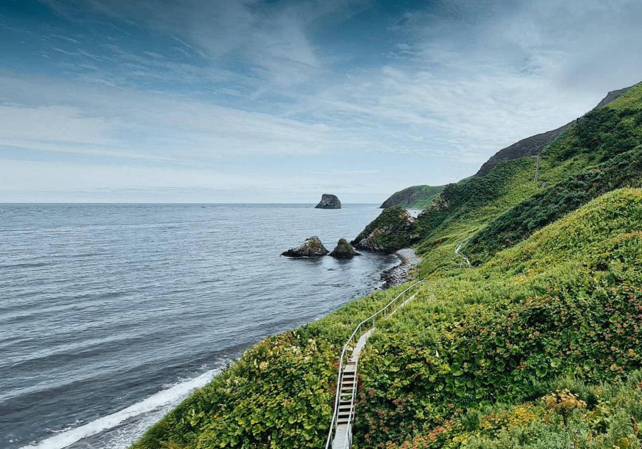 фото img_698d9b8adc37d.jpg