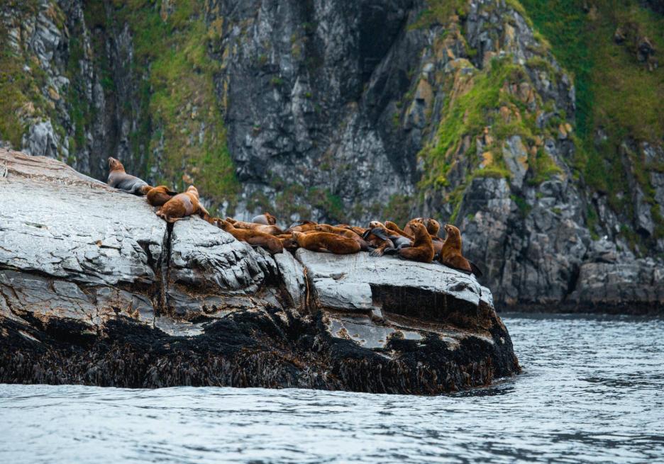 фото img_698d9b8c5a609.jpg