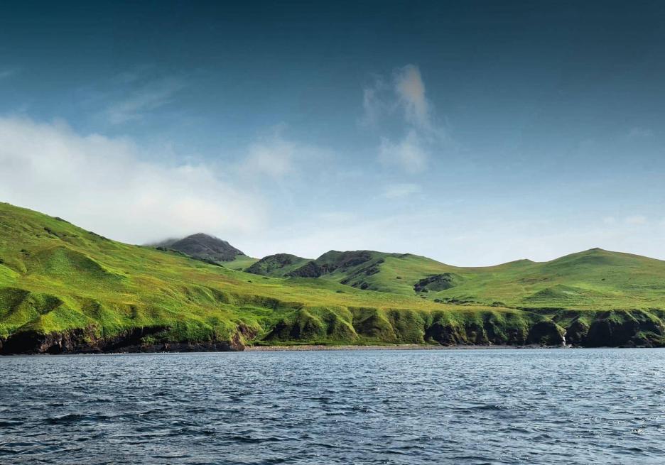 фото img_698d9b90d5216.jpg