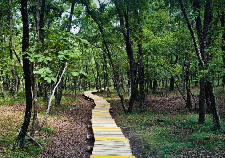 фото img_698d9b957f017.jpg