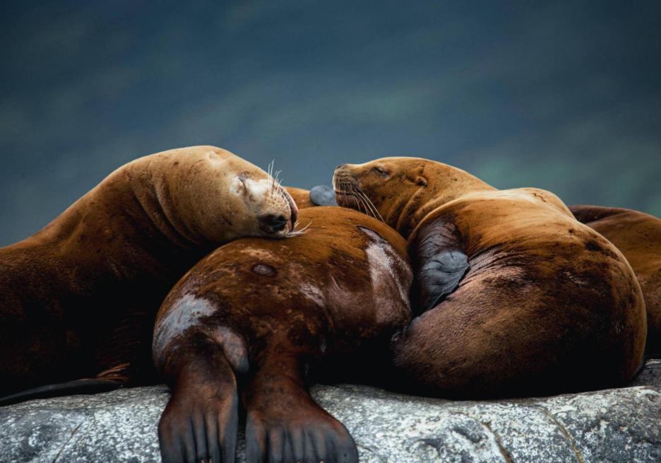 фото img_698d9b9955baa.jpg