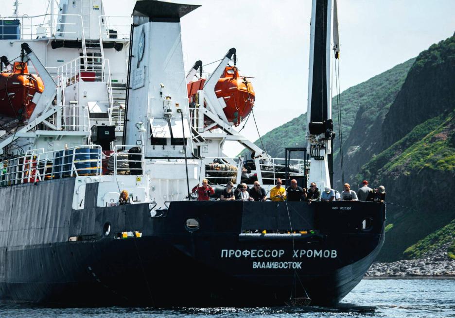 фото img_698d9b9cc0d0e.jpg