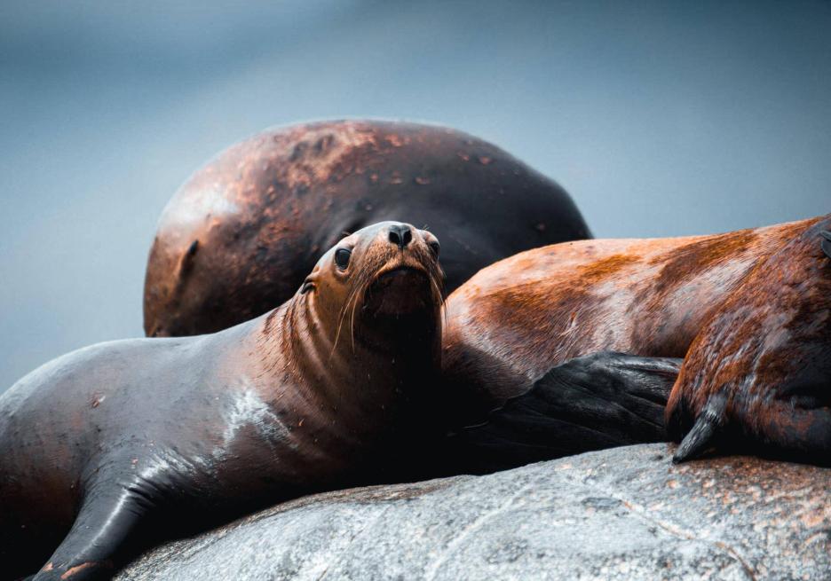 фото img_698d9b9ded3e4.jpg