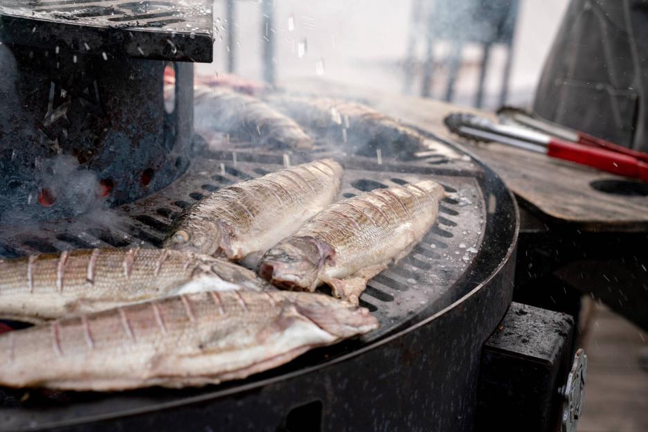 фото img_698eea45c5e2d.jpg