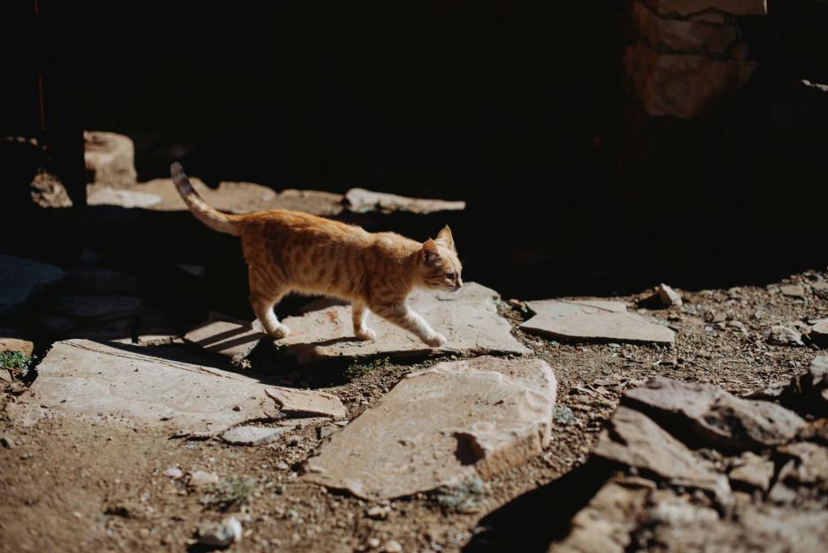 фото img_69933d13f0b84.jpg