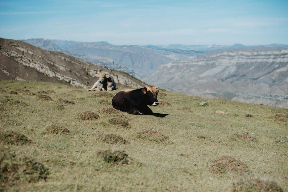 фото img_69933d1bc564b.jpg