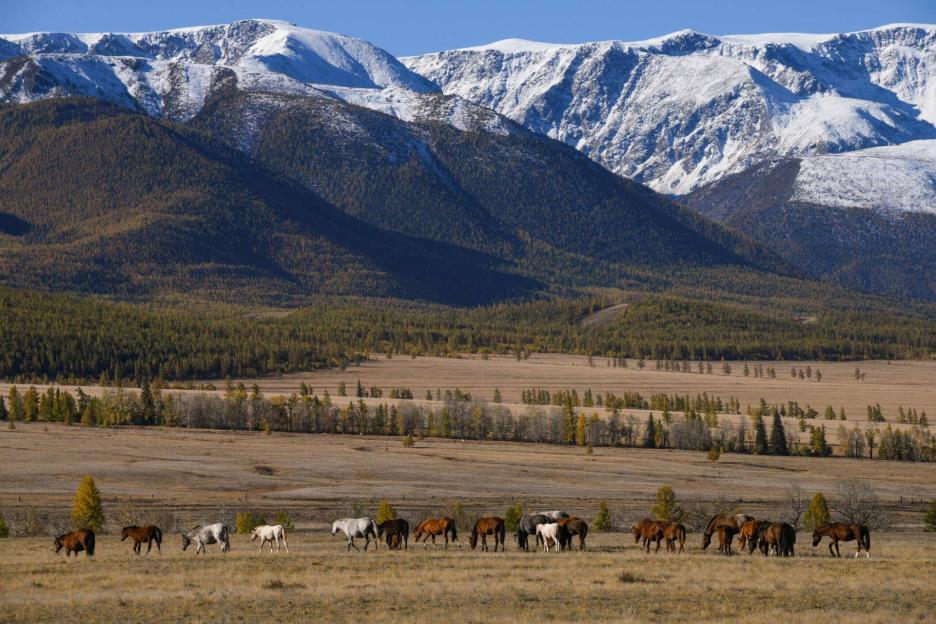 фото img_6994207f0d837.jpg