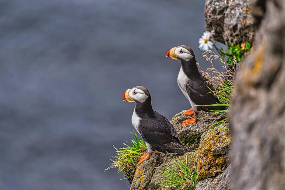 фото img_69958f13affed.jpg