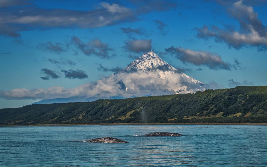 фото img_69958f17a5105.jpg