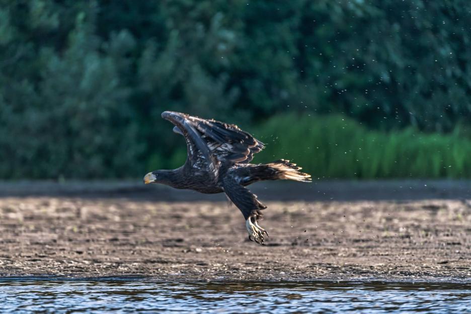 фото img_69958f19b19a1.jpg