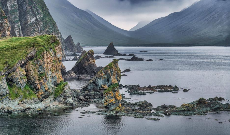 фото img_6995c6f3919ac.jpg