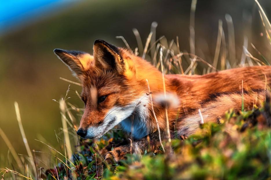 фото img_6995c6f8dc92d.jpg