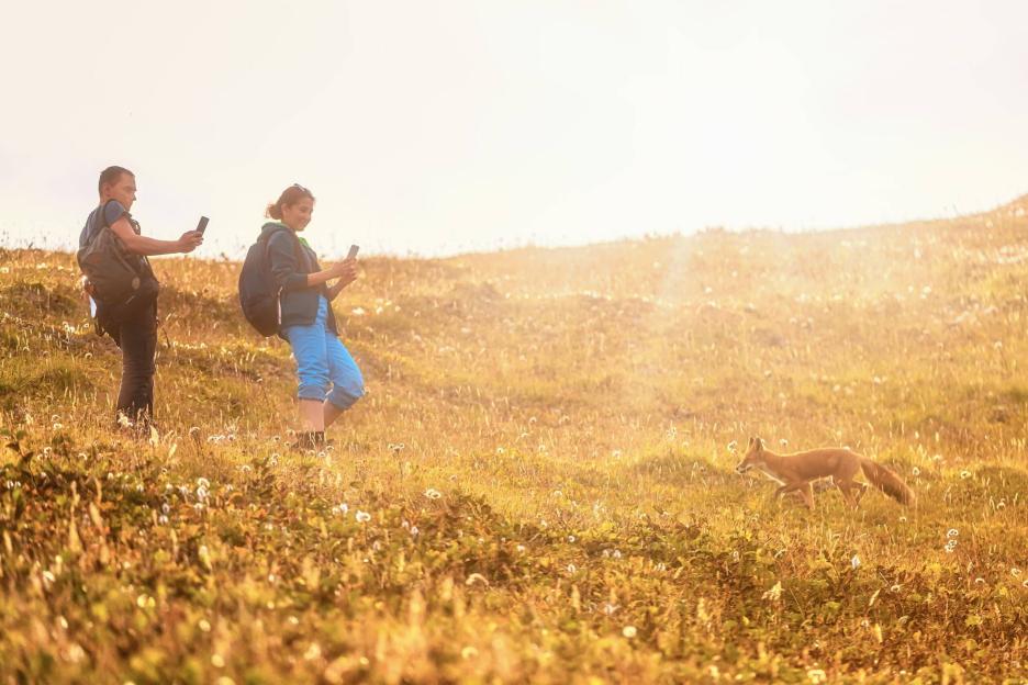 фото img_6995c6fae8136.jpg