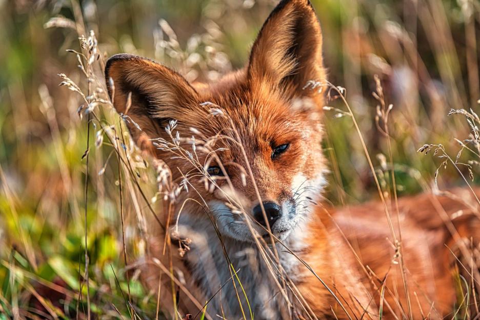 фото img_6995c6fce0f2a.jpg