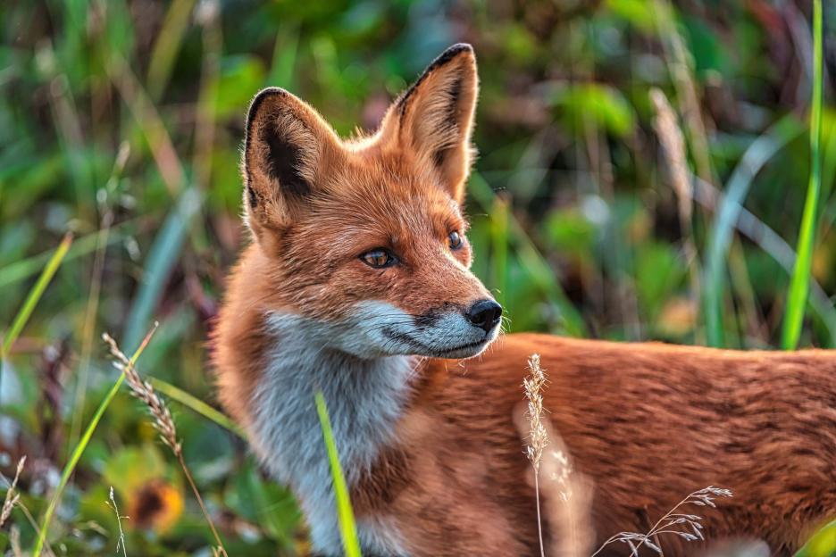 фото img_6995c6fedec6c.jpg