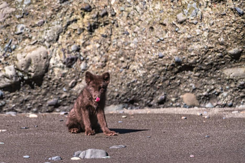 фото img_6995c700d97f4.jpg