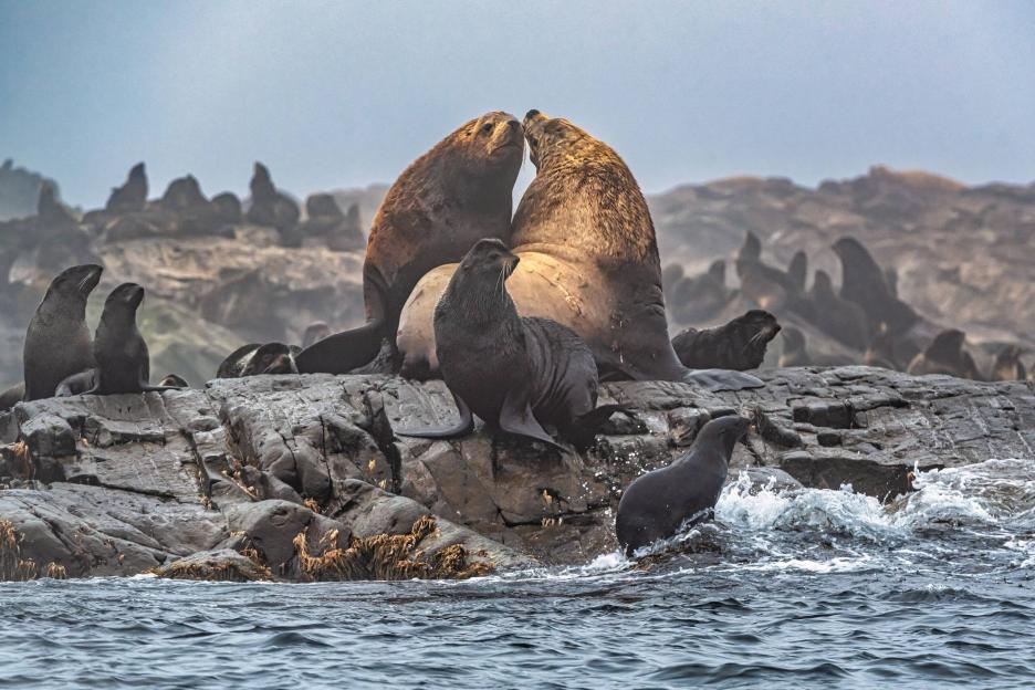 фото img_6995c70309853.jpg