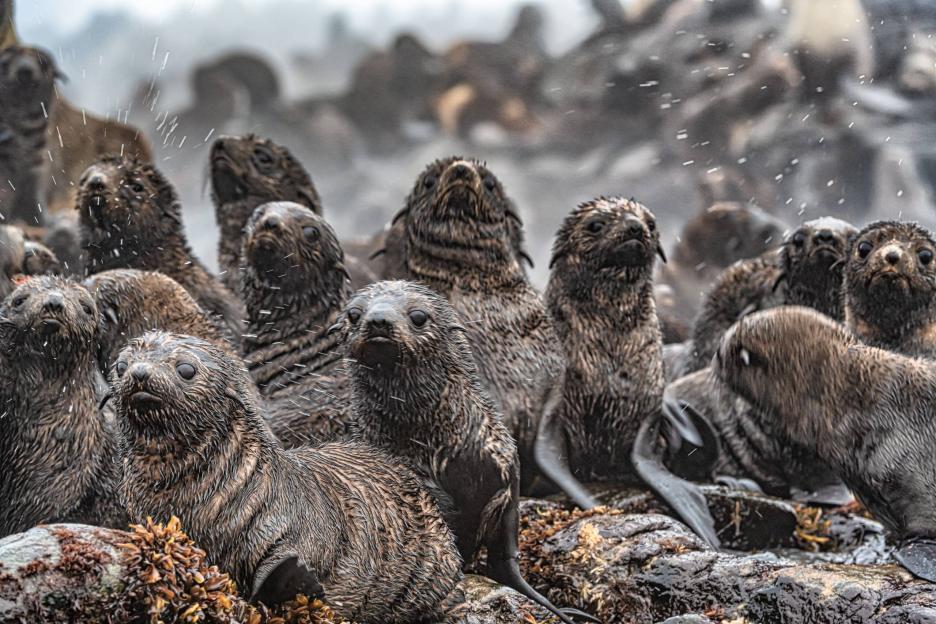 фото img_6995c70511438.jpg