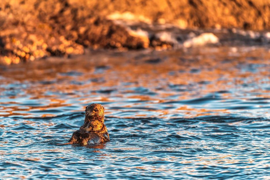 фото img_6995c70719b5e.jpg