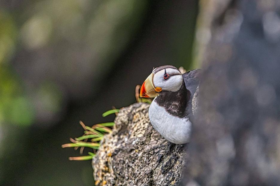 фото img_6995c7092013c.jpg