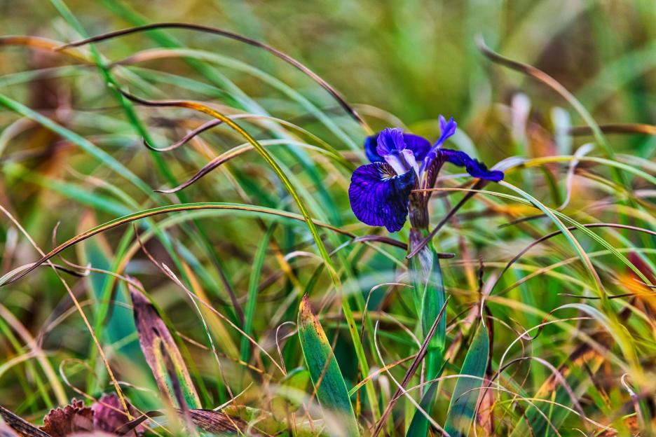 фото img_6995c89bc02dd.jpg