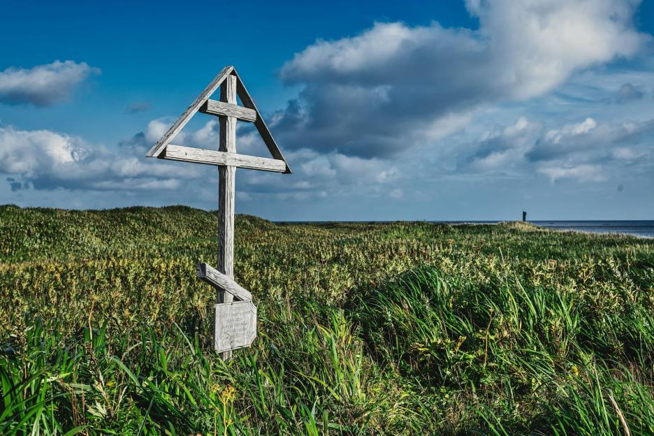 фото img_6995c8a1baf24.jpg