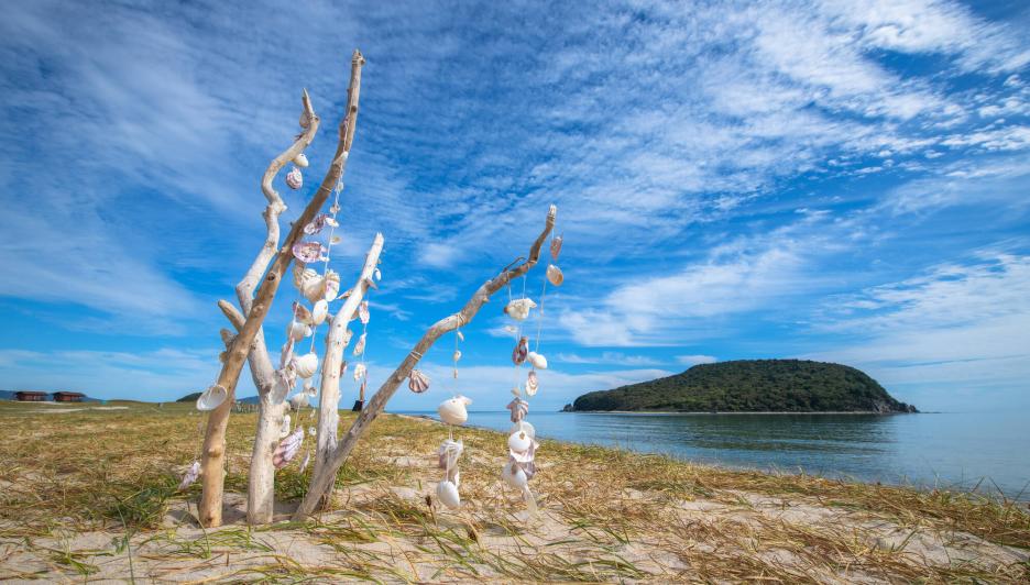 фото img_6996d8191bc5b.jpg