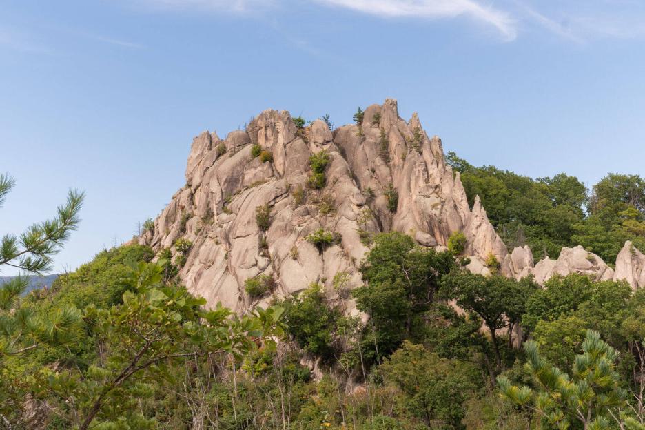 фото img_6996d851f1f9c.jpg