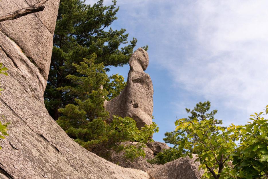 фото img_6996d853750fb.jpg