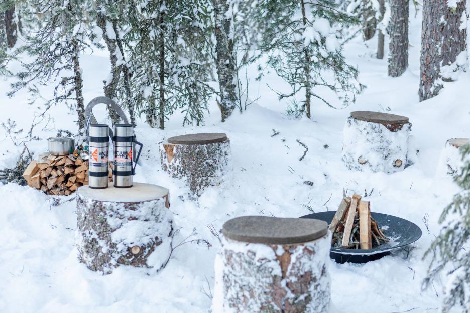 фото img_699873901f0c2.jpg