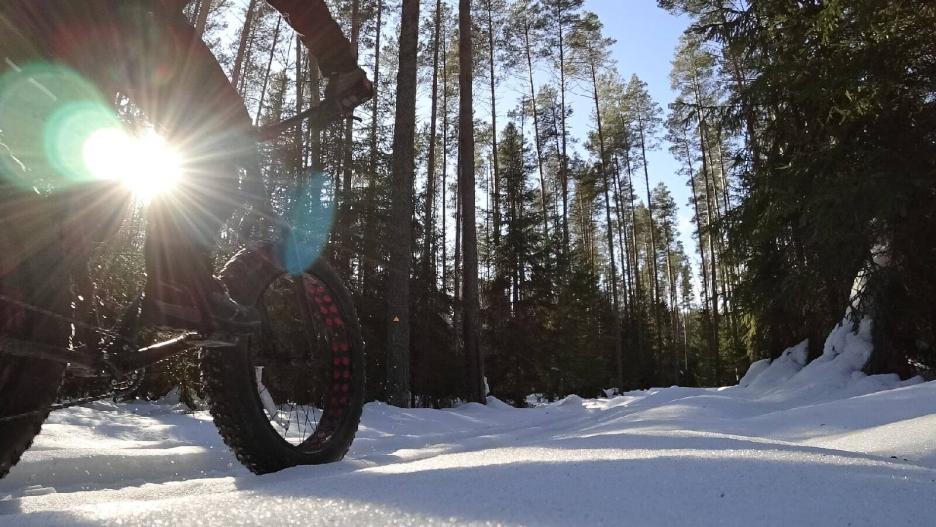 фото img_69987399aa656.jpg