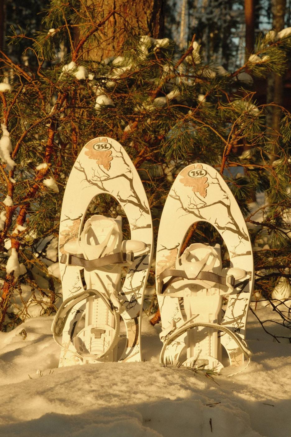 фото img_6998739a8da9d.jpg