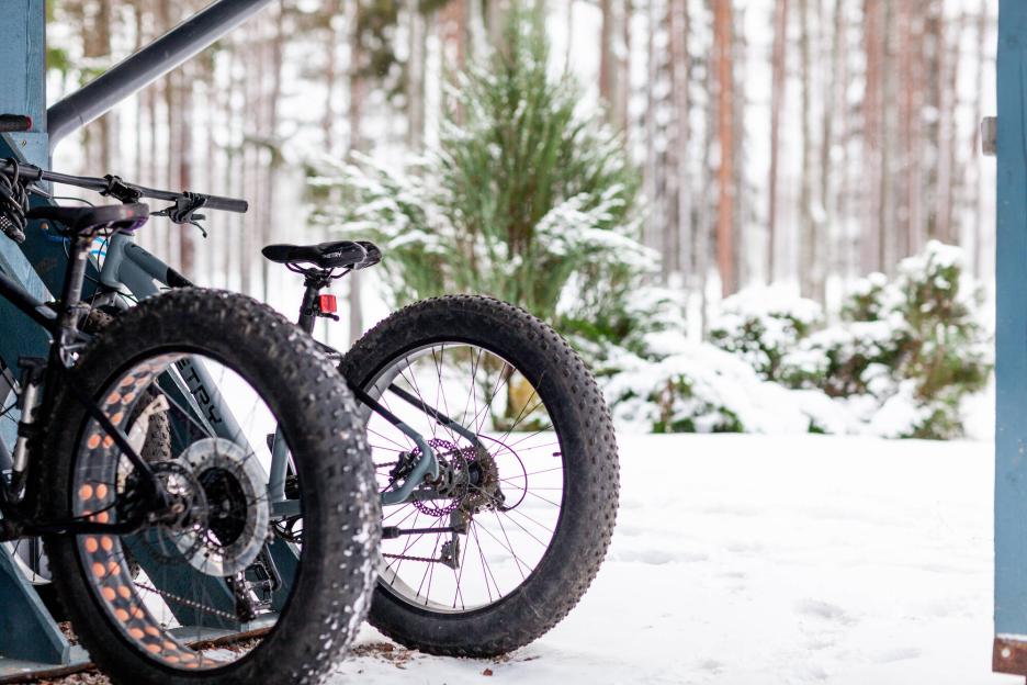 фото img_699d4ed454aad.jpg