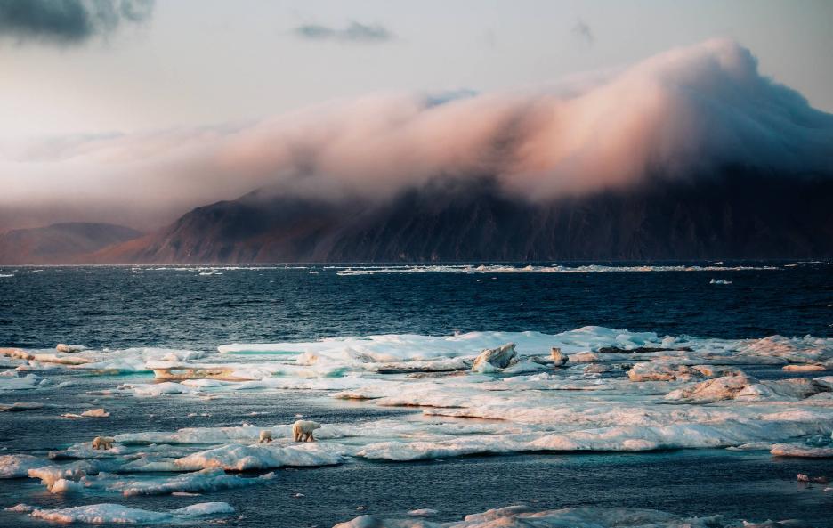 фото img_699dc01b48edb.jpg