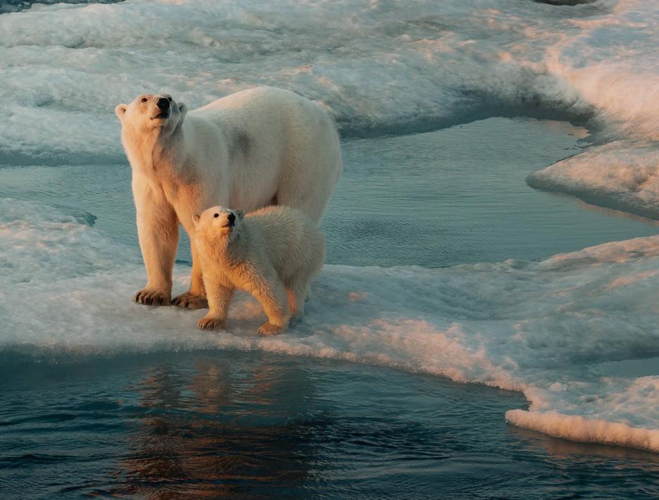 фото img_699dc22465311.jpg