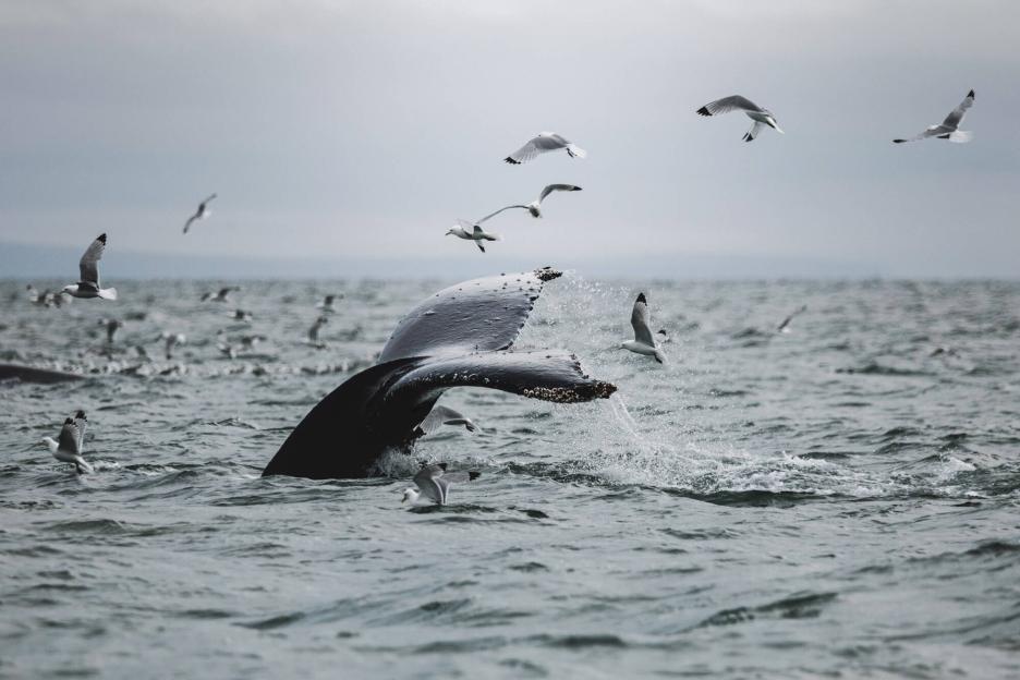 фото img_699dc22671122.jpg