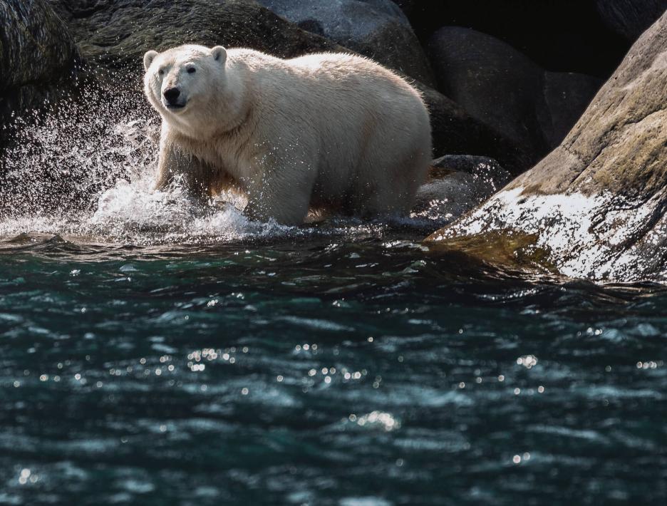 фото img_699dc22805c02.jpg