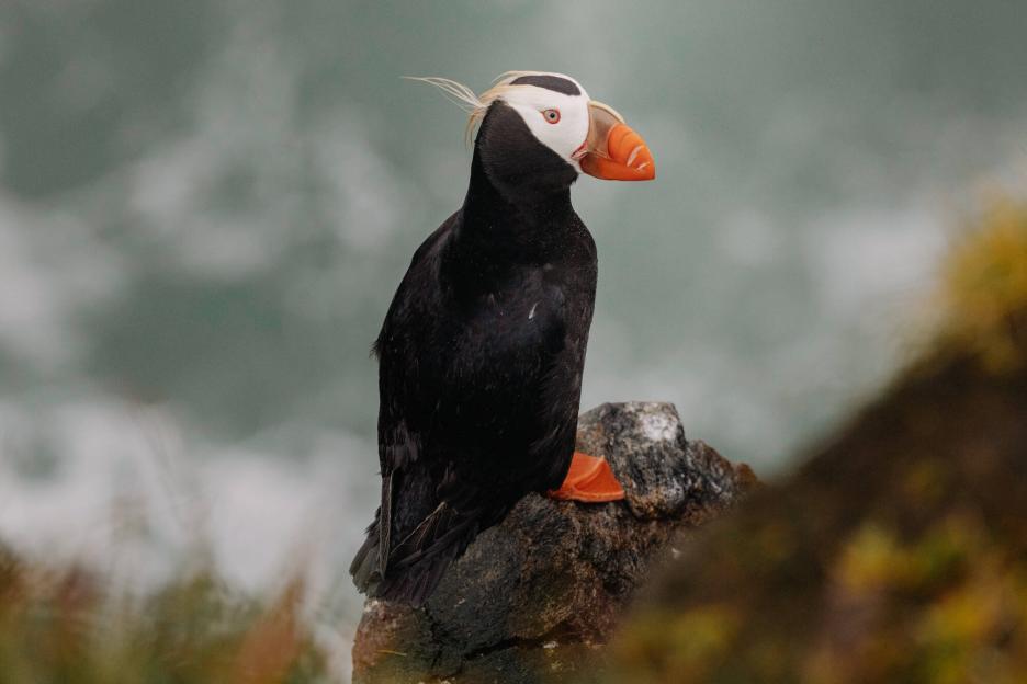 фото img_699dc22c542f9.jpg