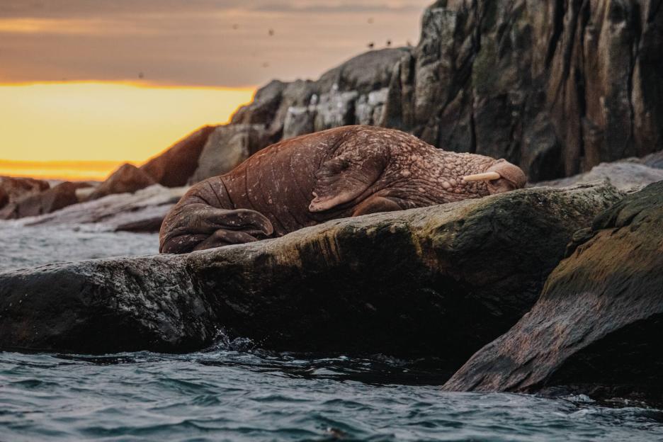 фото img_699dc22da58a3.jpg