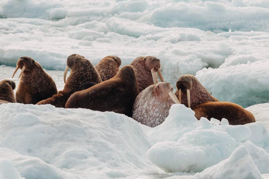 фото img_699dc22f10d5a.jpg