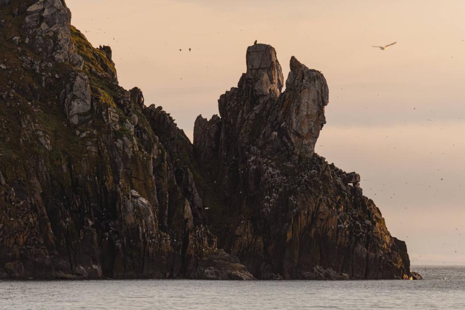 фото img_699dc2307113c.jpg