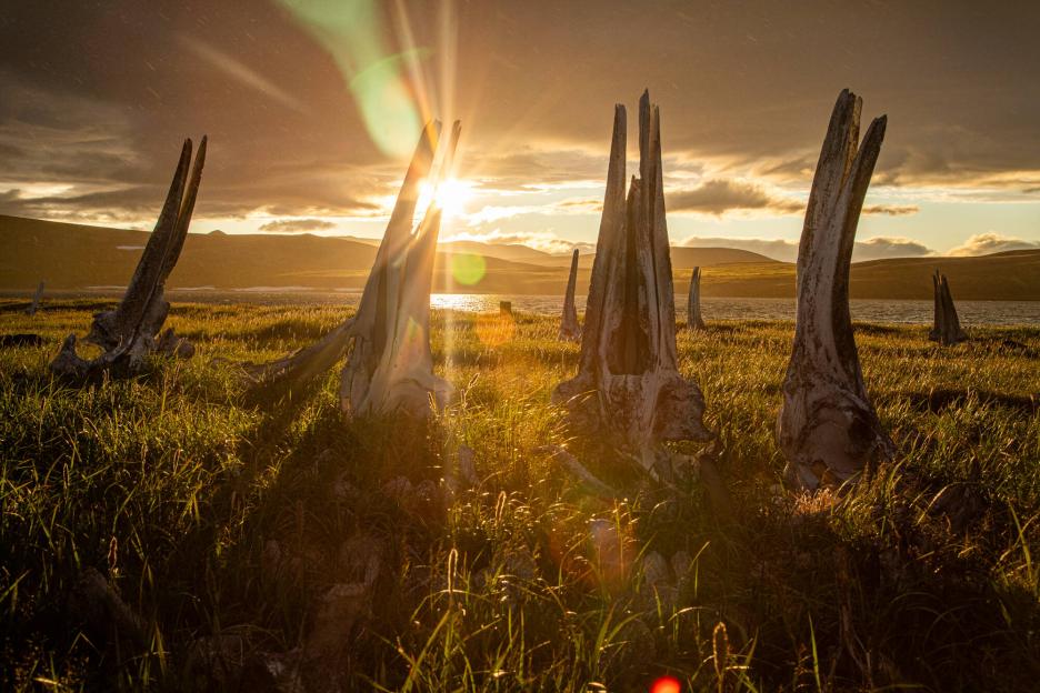 фото img_699dc232da7e6.jpg