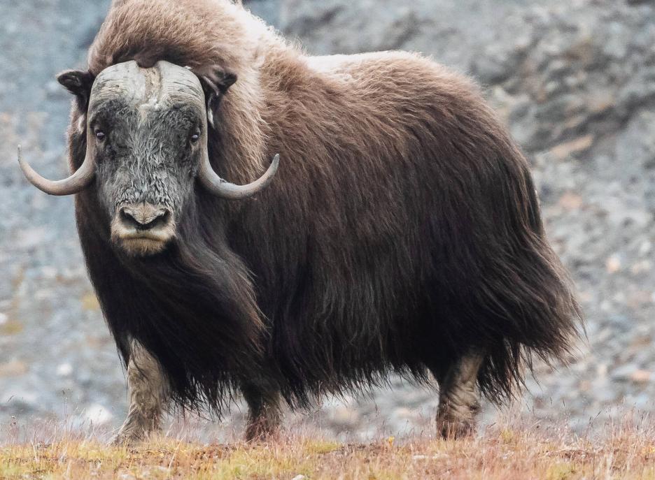 фото img_699dc236b32b9.jpg